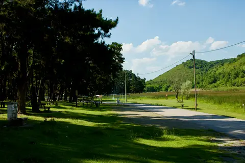 Poyrazlar Gölü Tabiat Parkı'nda çam ağaçlarının altındaki piknik alanı ve yol